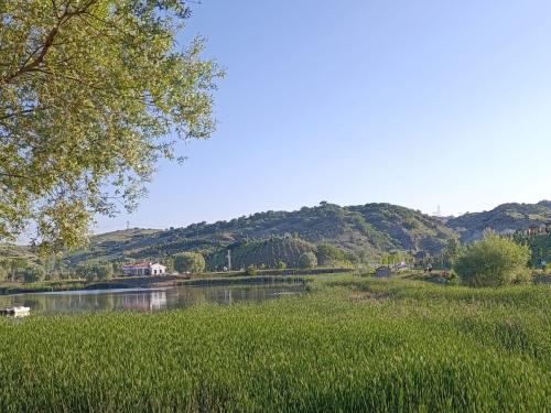 BETONLAR ARASINDA DOĞAYI BULMAK